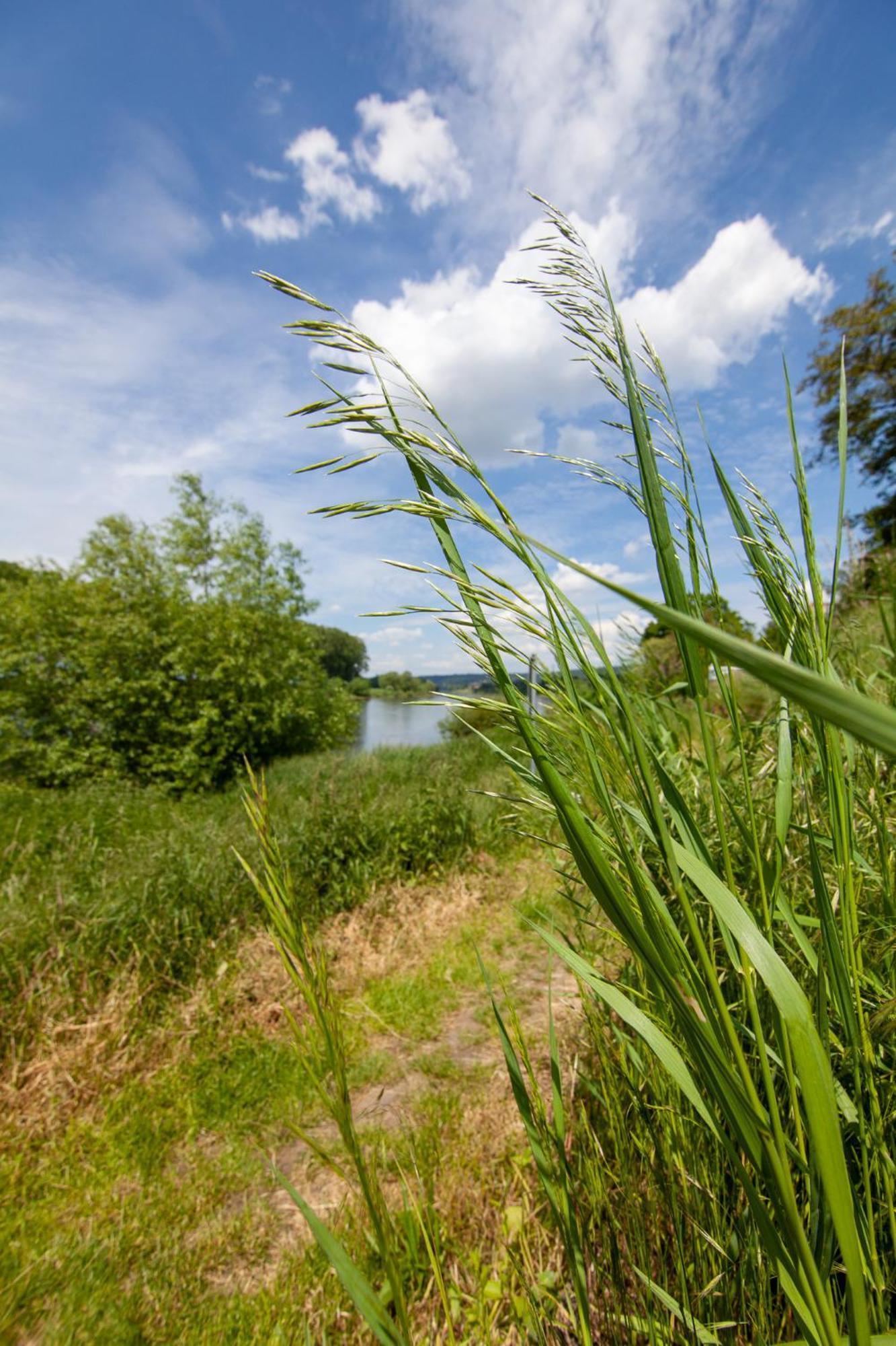 Wohnperle Birkwitzer Stuebchen * Pirna